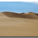 Die Dünen von Maspalomas (2)