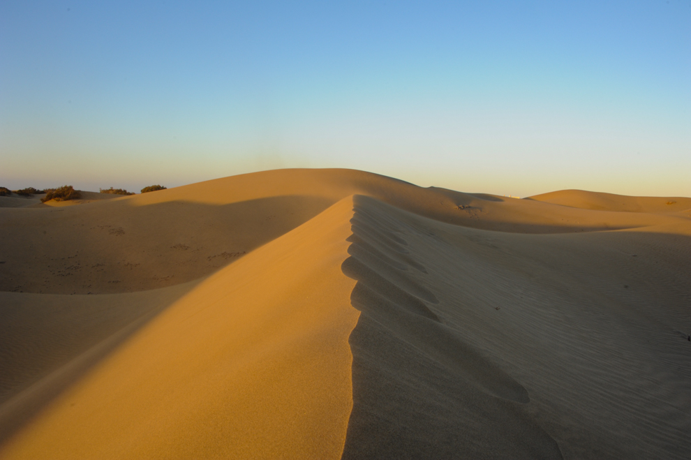 Die Dünen von Maspalomas 3