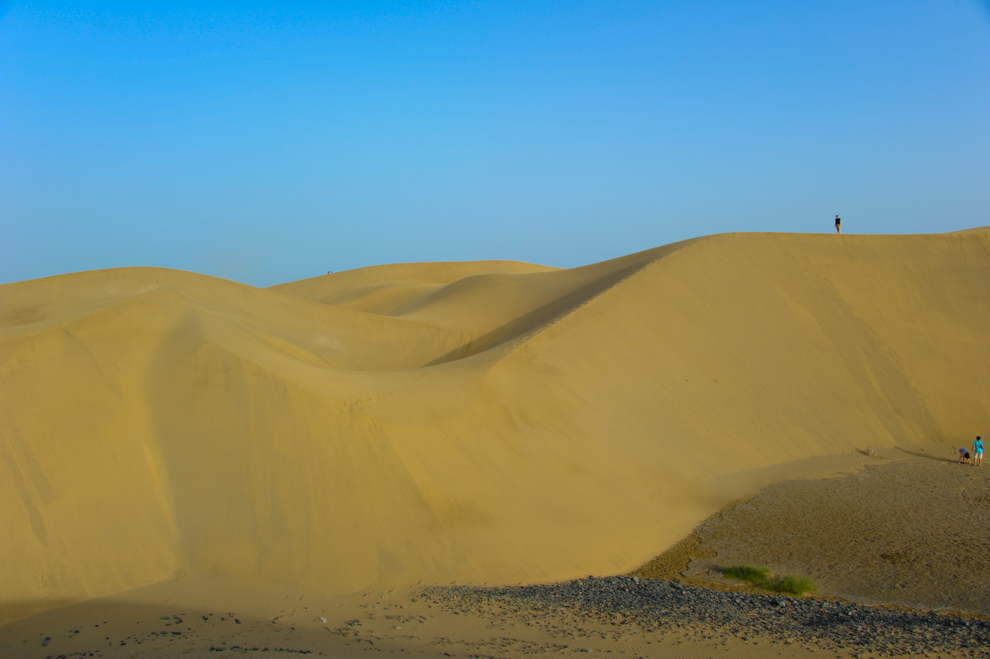 Die Dünen von Maspalomas 4