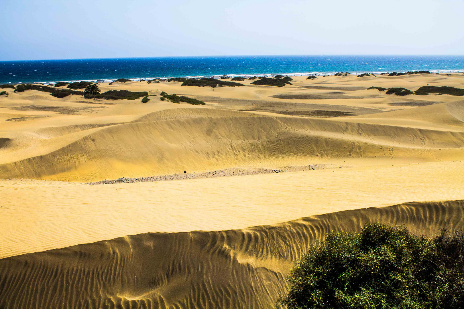 Die Dünen von Maspalomas