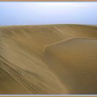 die Dünen von Maspalomas auf Gran Canaria 1