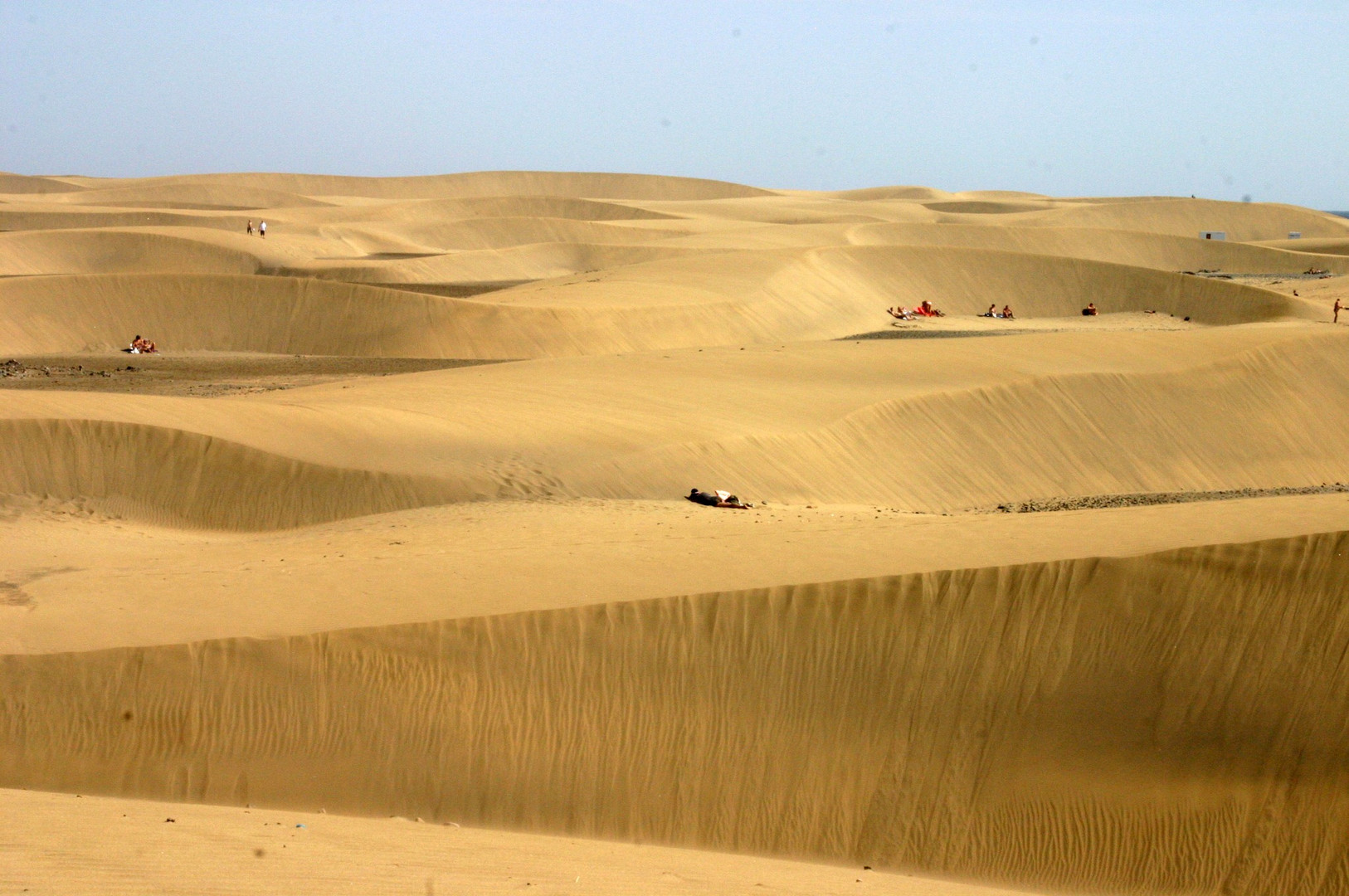 Die Duenen von Maspalomas