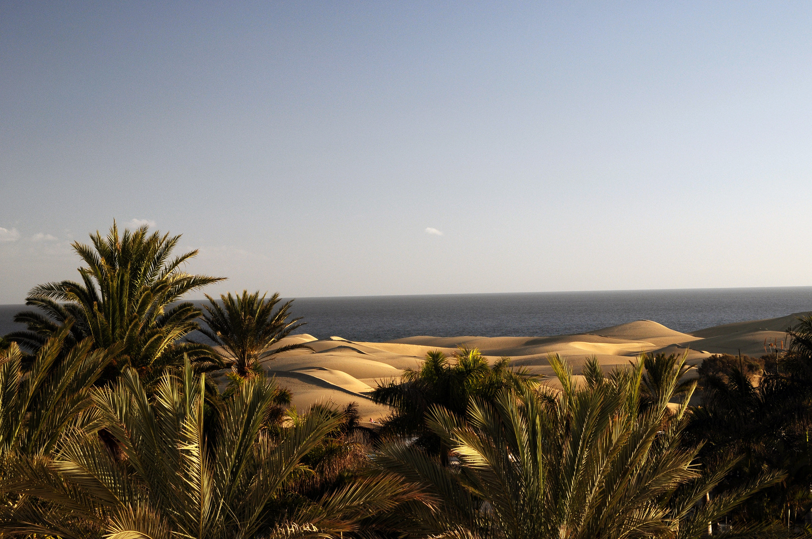 Die Dünen von Maspalomas