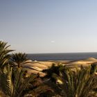 Die Dünen von Maspalomas