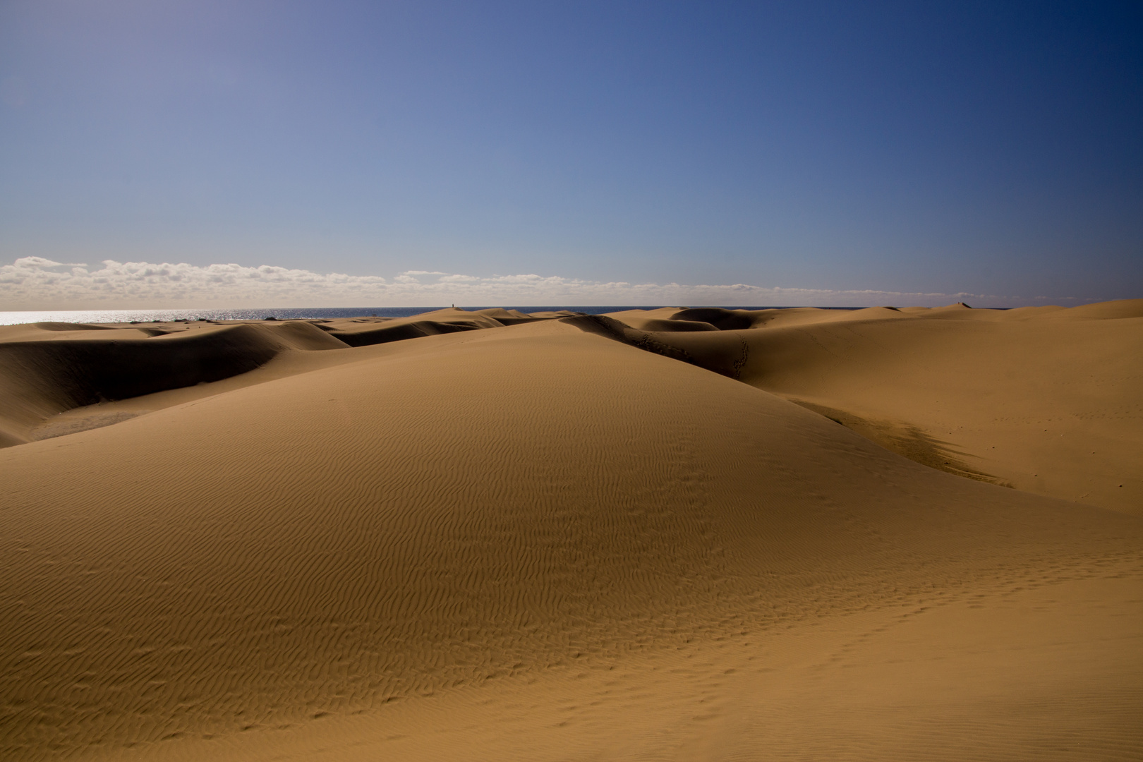 Die Dünen von Maspalomas Gran Canaria