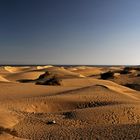 Die Dünen von Maspalomas II