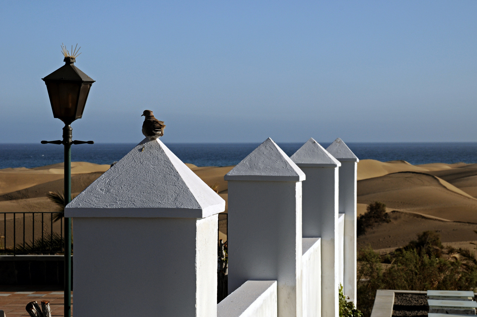 Die Dünen von Maspalomas III