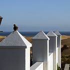 Die Dünen von Maspalomas III