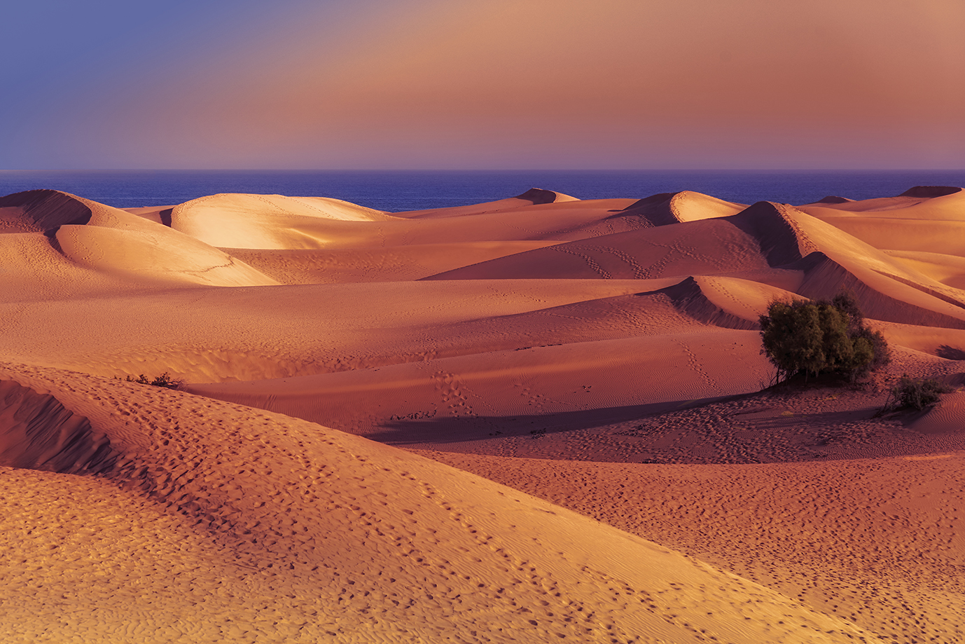 Die Dünen von Maspalomas in der Abenddämmerung