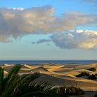 Die Dünen von Playa del Ingles ...