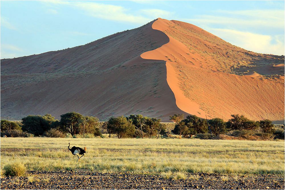 Die Dünen von Sossusvlei