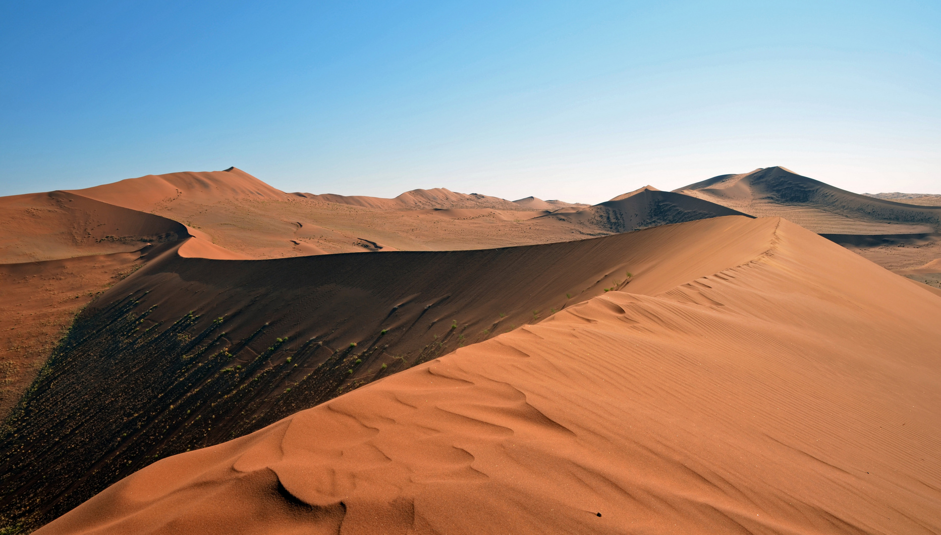 " die Dünen von Sossuvlei "