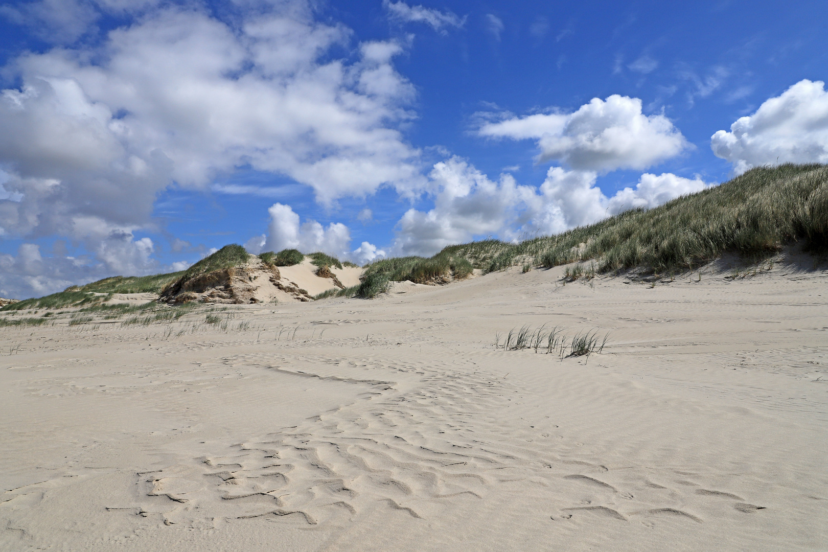 Die Dünen von St. Peter-Ording