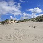 Die Dünen von St. Peter-Ording