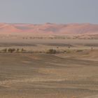 Die Dünen von Sussusvlei, Namibia