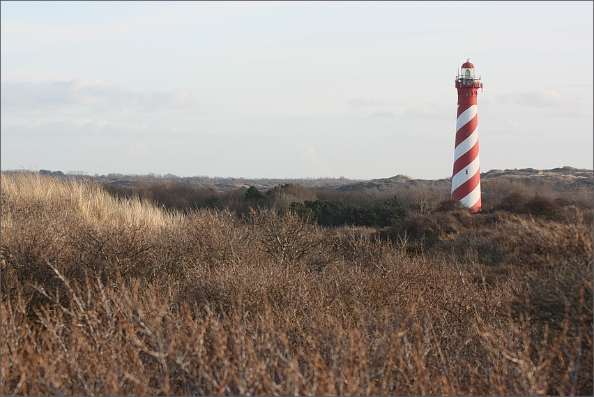 Die Dünen von West Schouwen