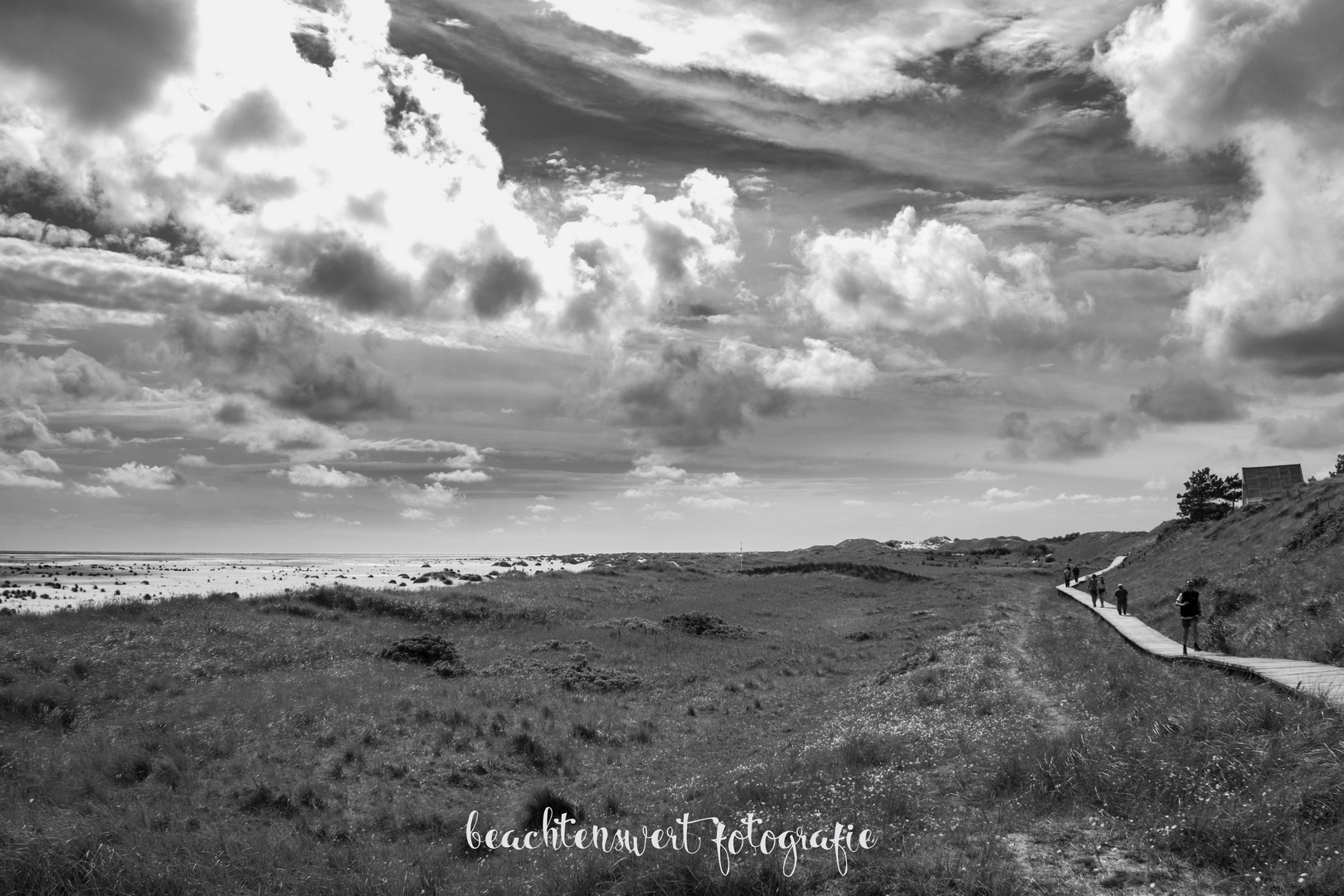 Die Dünenlandschaft der nordfriesischen Insel Amrum 