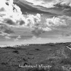 Die Dünenlandschaft der nordfriesischen Insel Amrum 