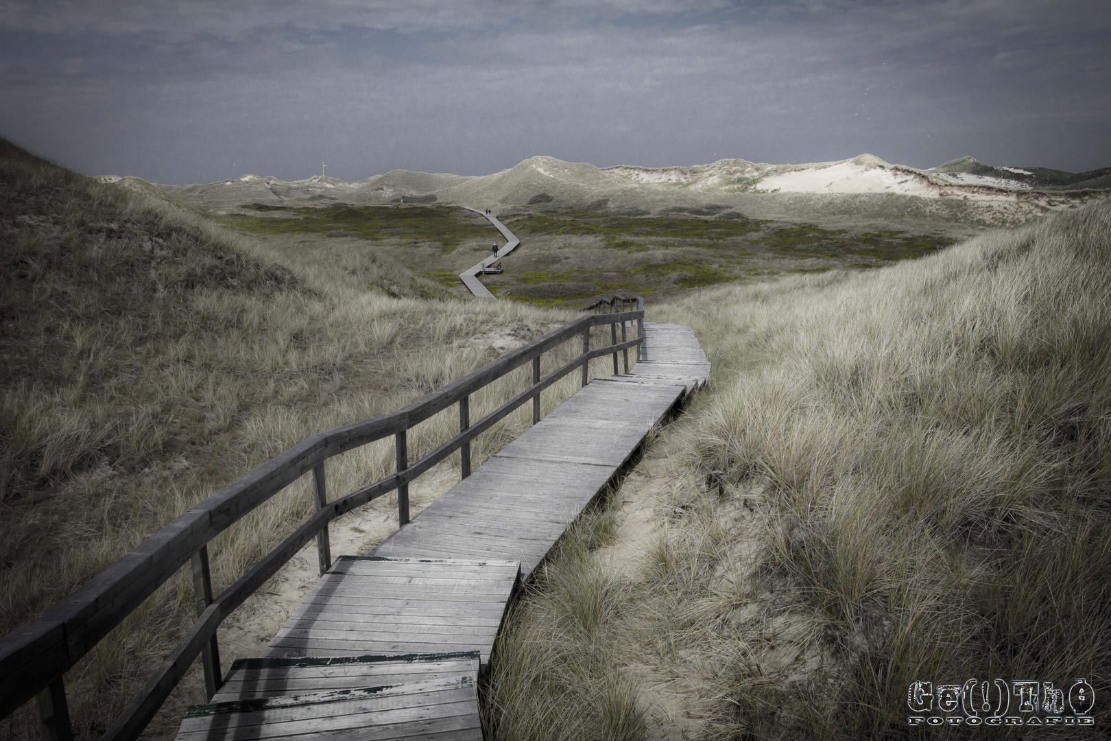 die Dünenwelt von Amrum