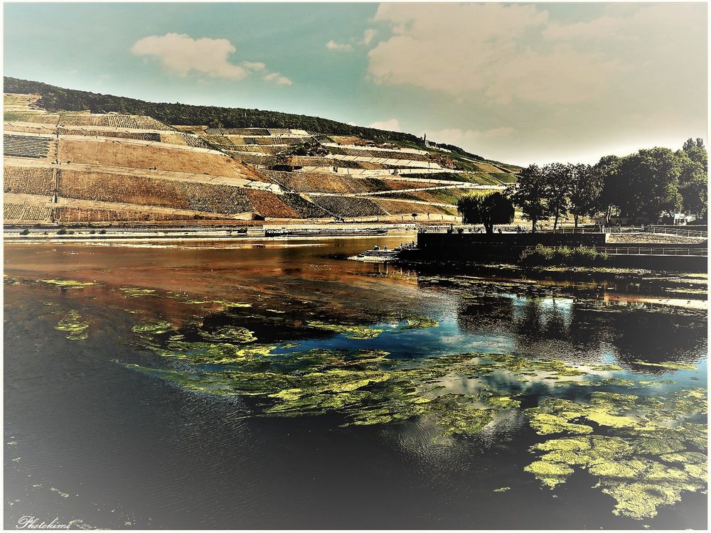 Die Dürre Foto & Bild spezial, natur, landschaft Bilder auf