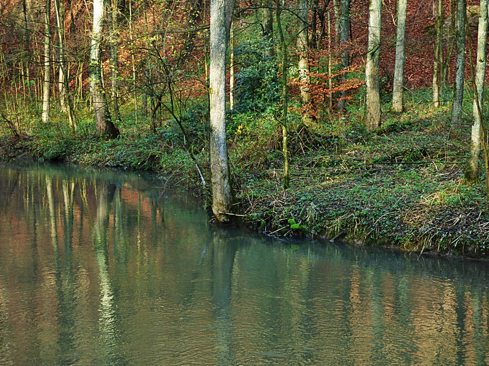 Die Düssel im Neandertal (1) - 26.11.2015