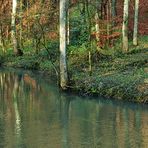 Die Düssel im Neandertal (1) - 26.11.2015