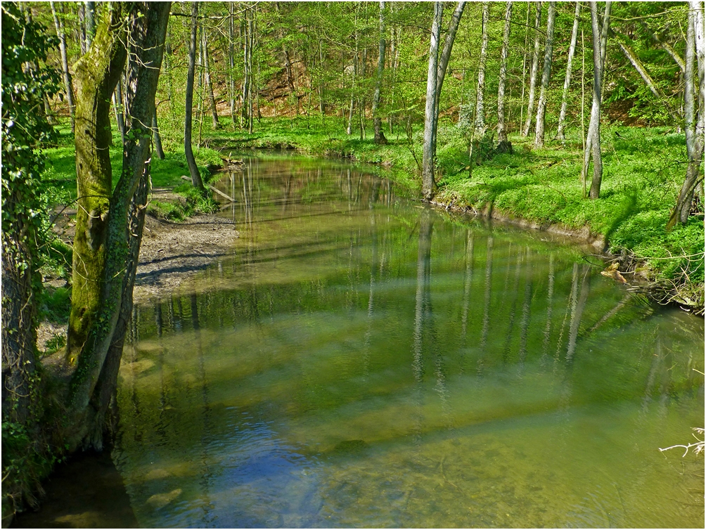 Die Düssel im Neandertal