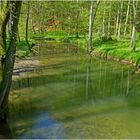 Die Düssel im Neandertal