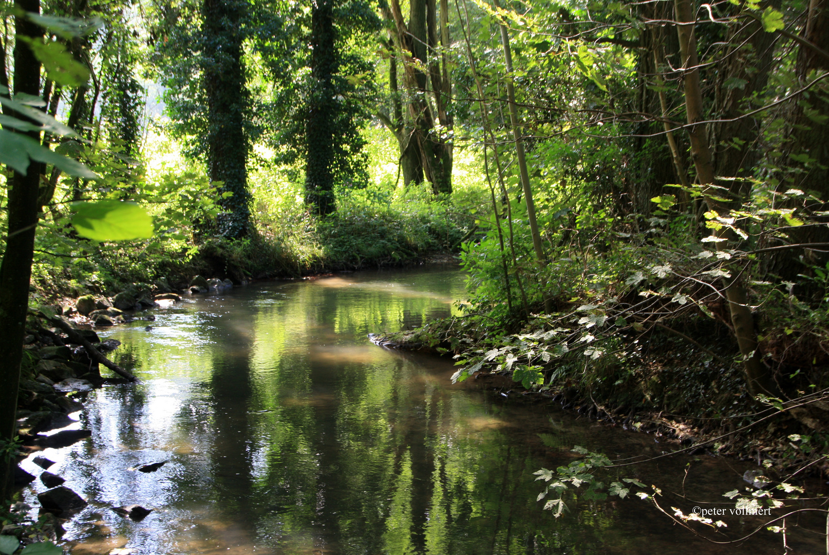 die Düssel im Neandertal