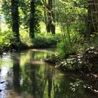 die Düssel im Neandertal