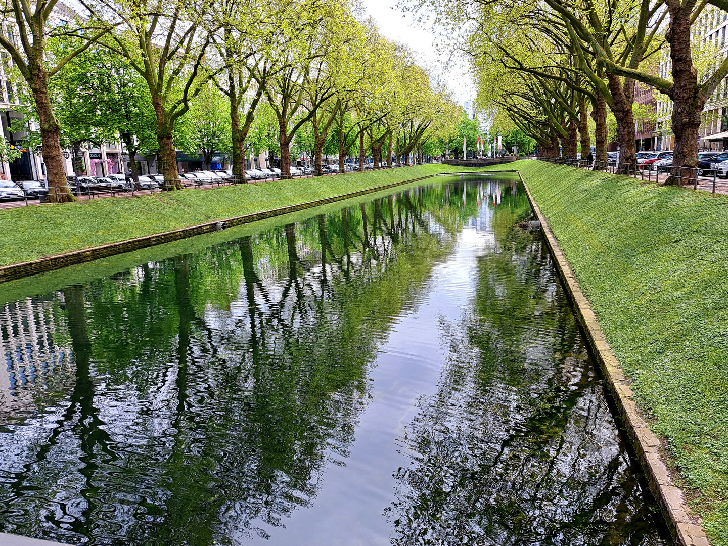 Die Düssel in Düsseldorf