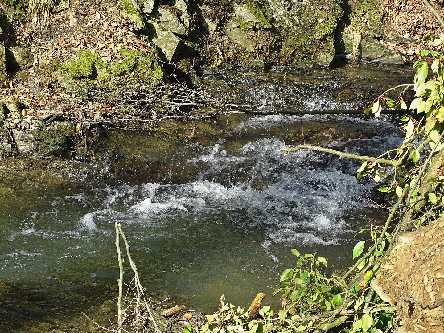 Die Düssel in Wülfrath-Aprath