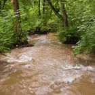 Die Düssel nach dem Starkregen