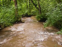 Die Düssel nach dem Starkregen