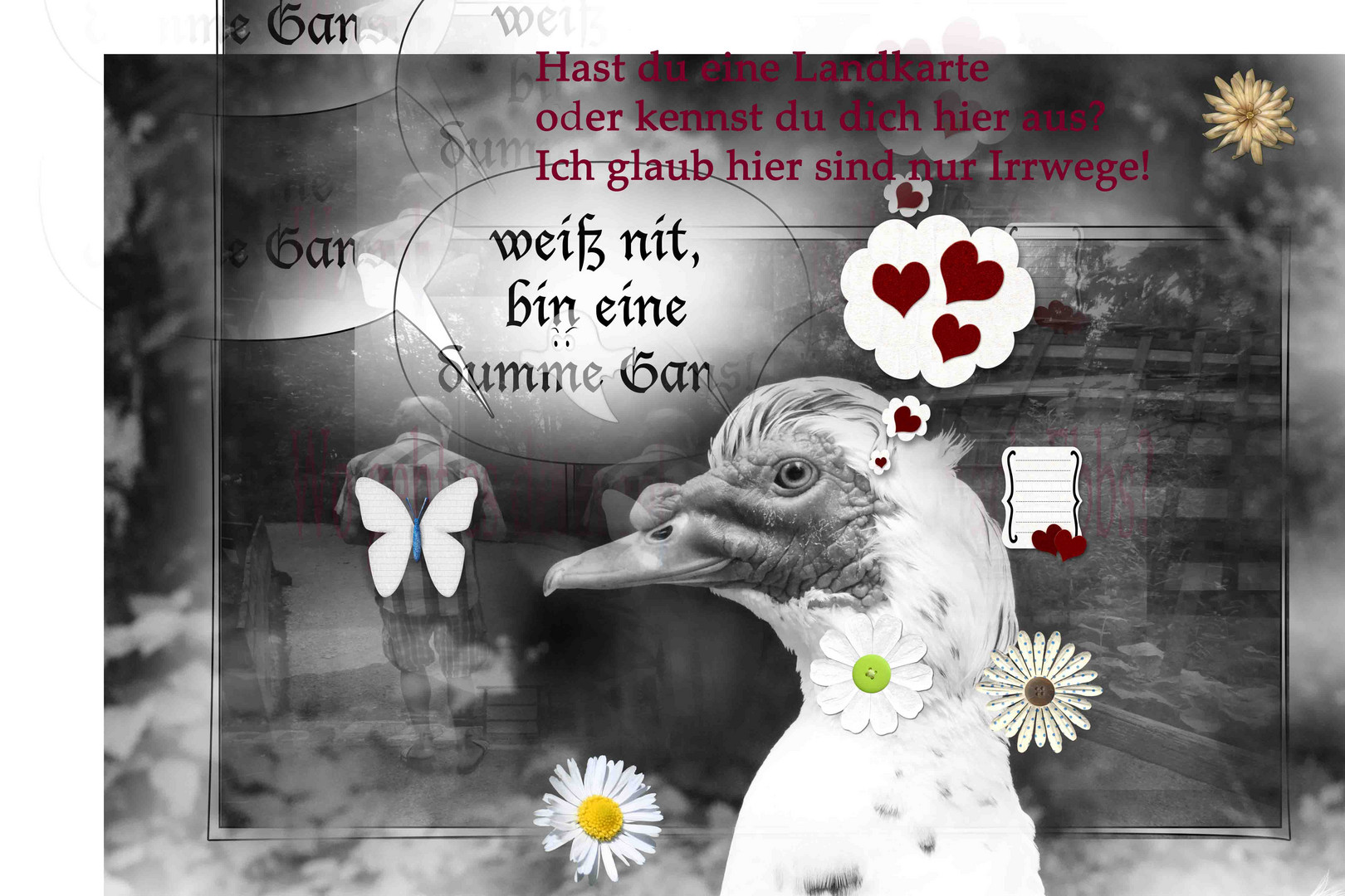 die dumme Gans