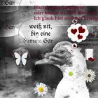 die dumme Gans