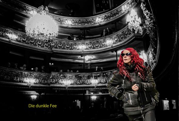 Die dunkle Fee