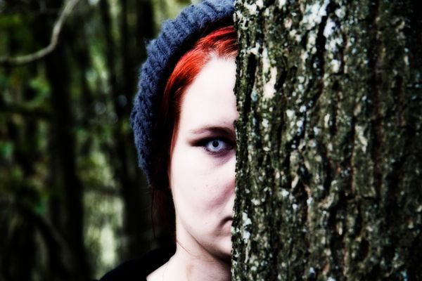 Die dunkle Seite des Waldes