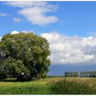 Die dunklen Wolken