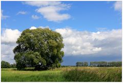 Die dunklen Wolken