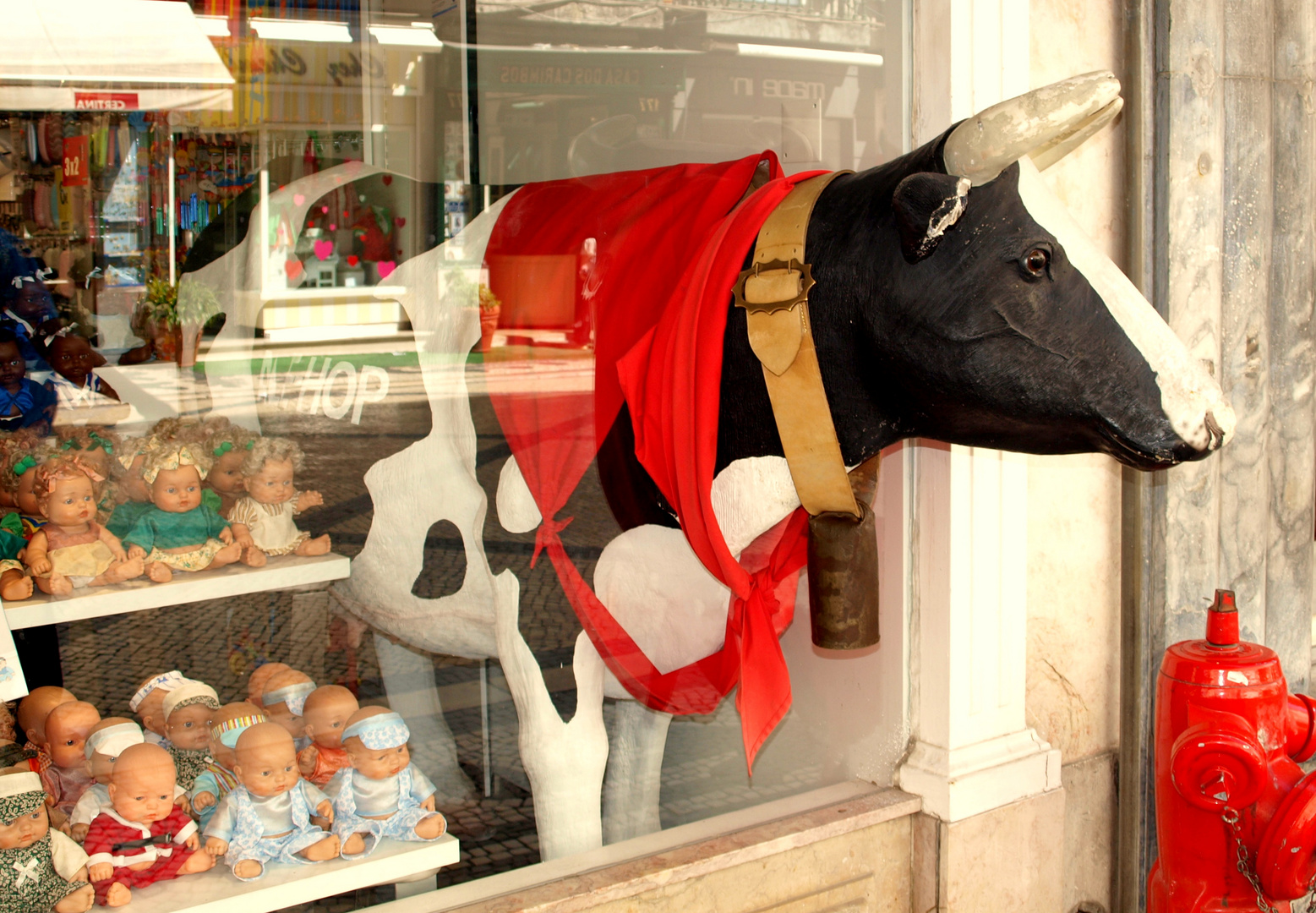 ***Die durch das Fenster schaut***