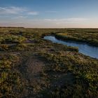 Die Ebbe zieht das Wasser aus den Salzwiesen – bis zur nächsten Flut (auf Spiekeroog).