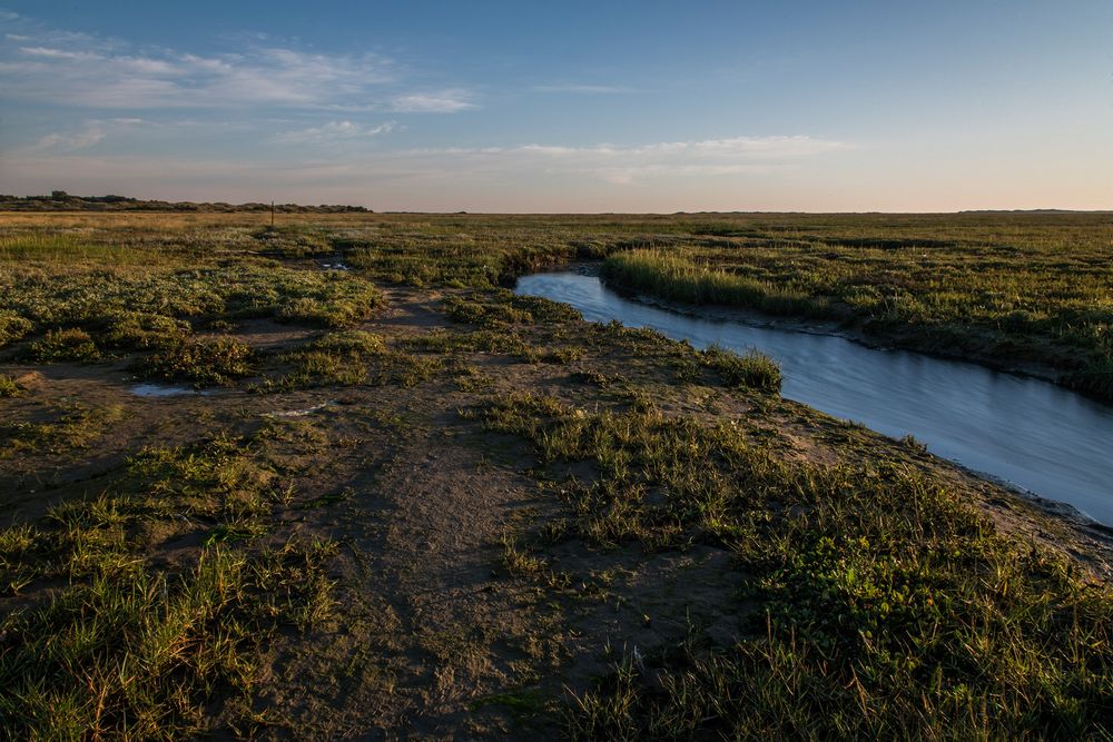 Die Ebbe zieht das Wasser aus den Salzwiesen – bis zur nächsten Flut (auf Spiekeroog).