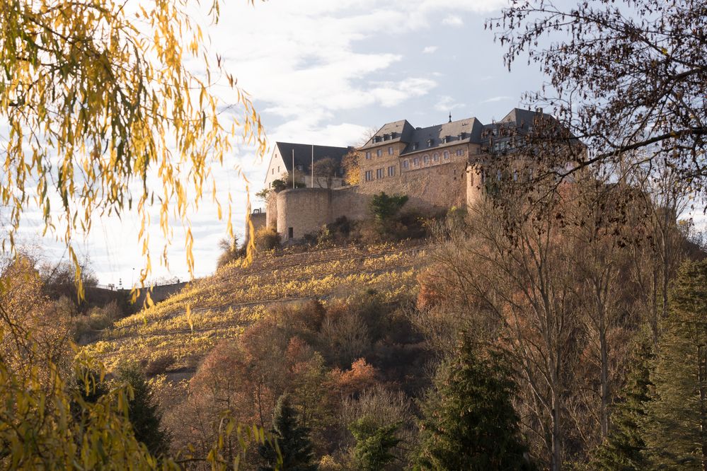 Die Ebernburg im Herbst