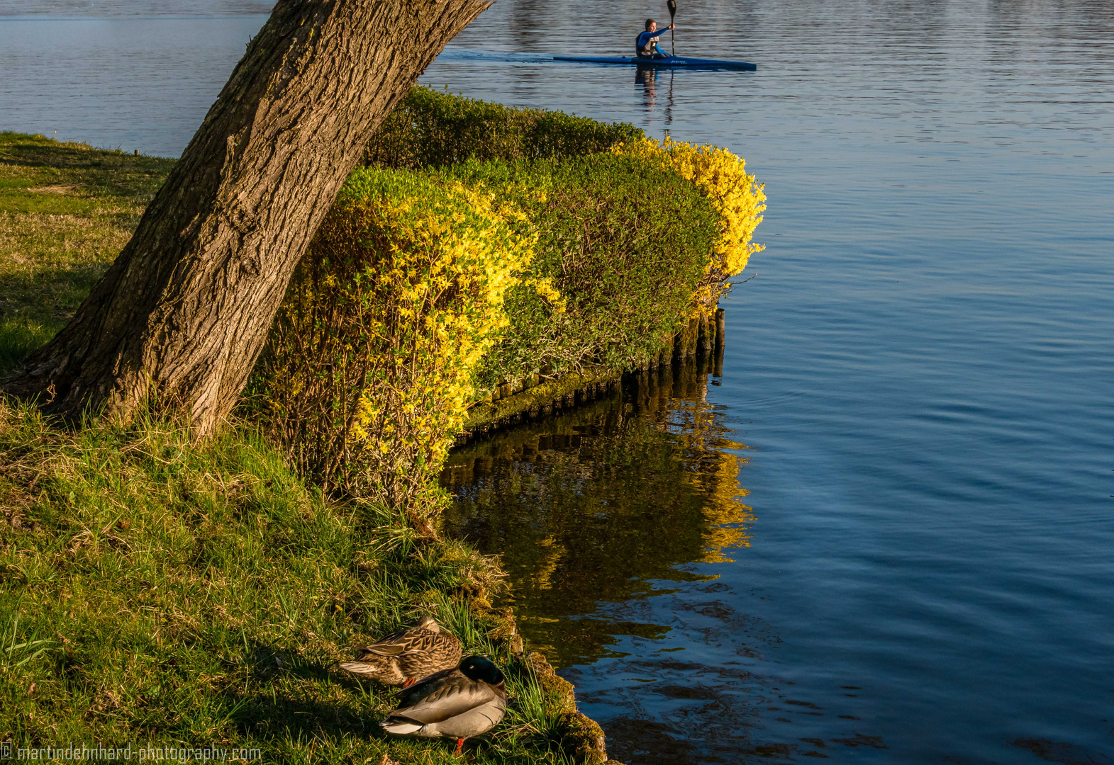 Die Ecke am See