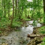 Die Ecker-Grenzwanderweg