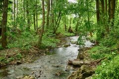 Die Ecker-Grenzwanderweg