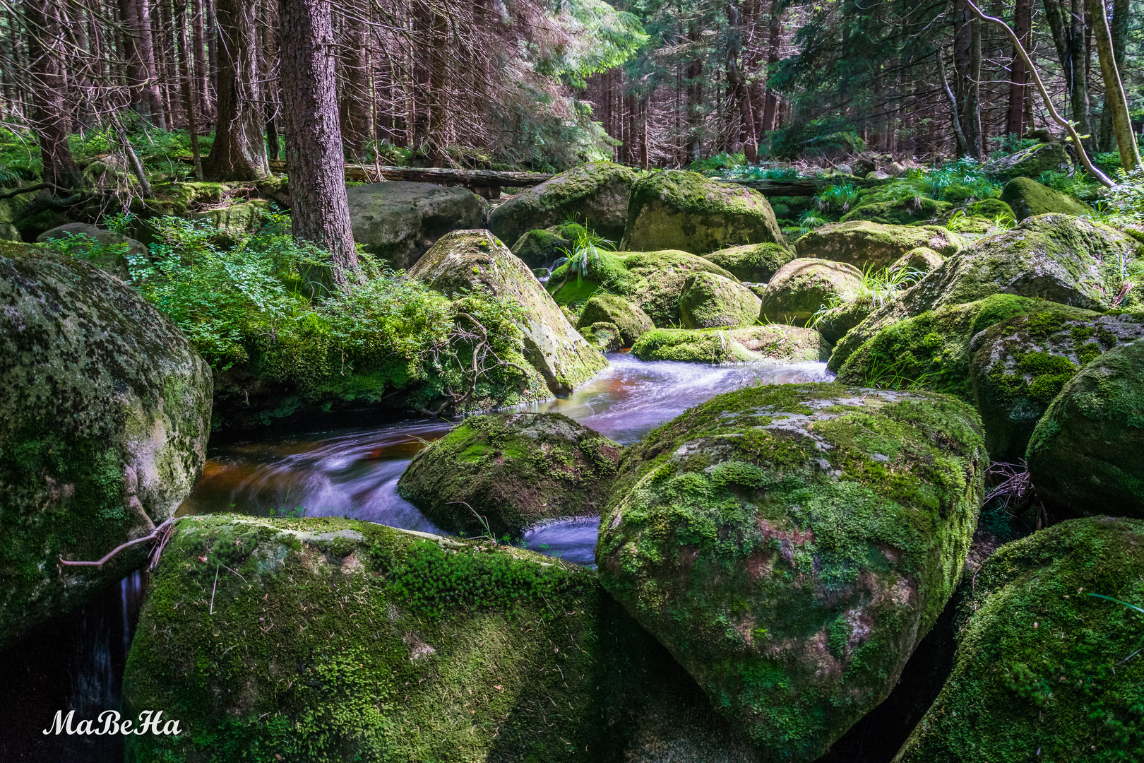 Die Ecker im Harz