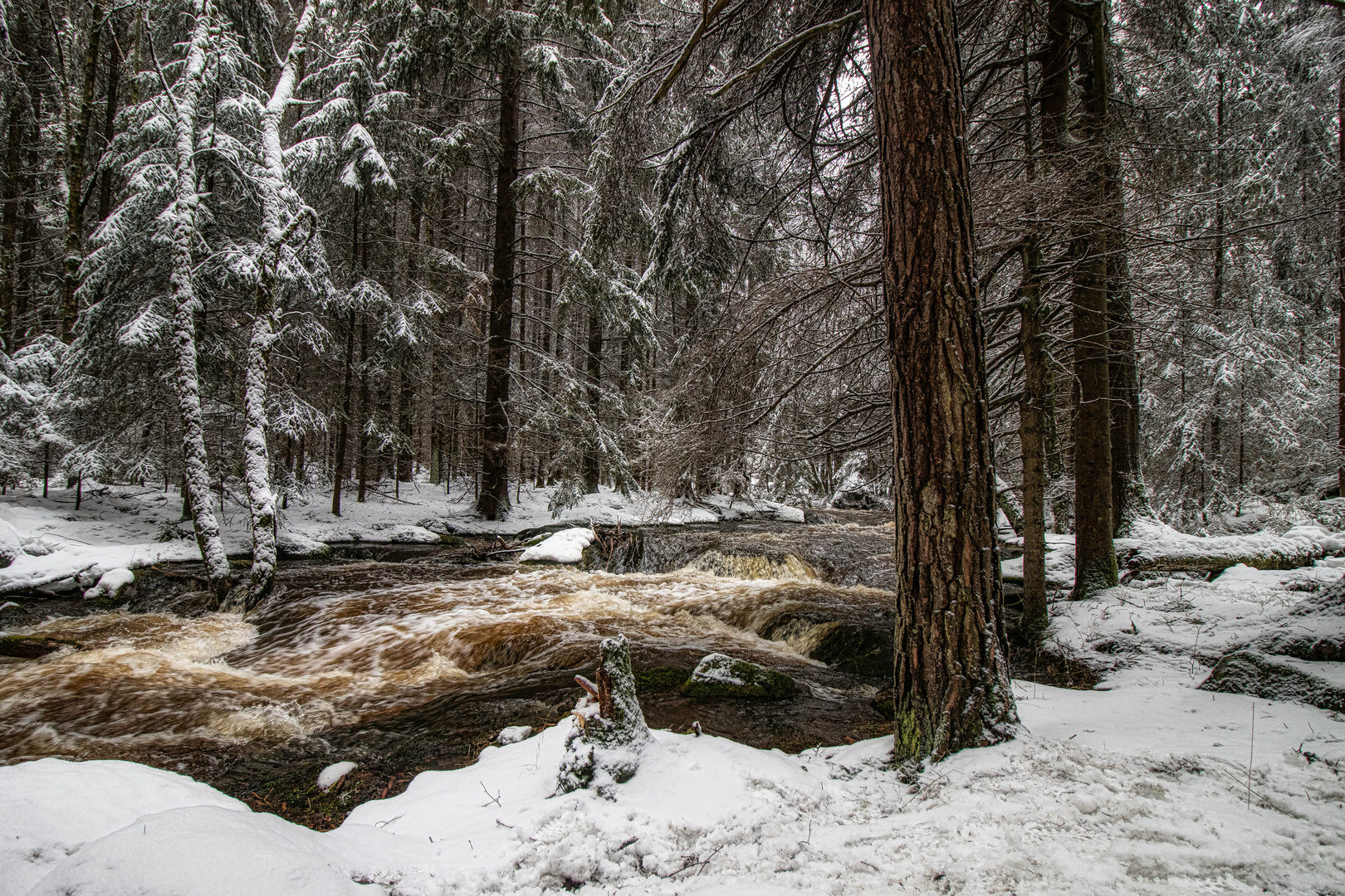 Die Eger im Thuswald