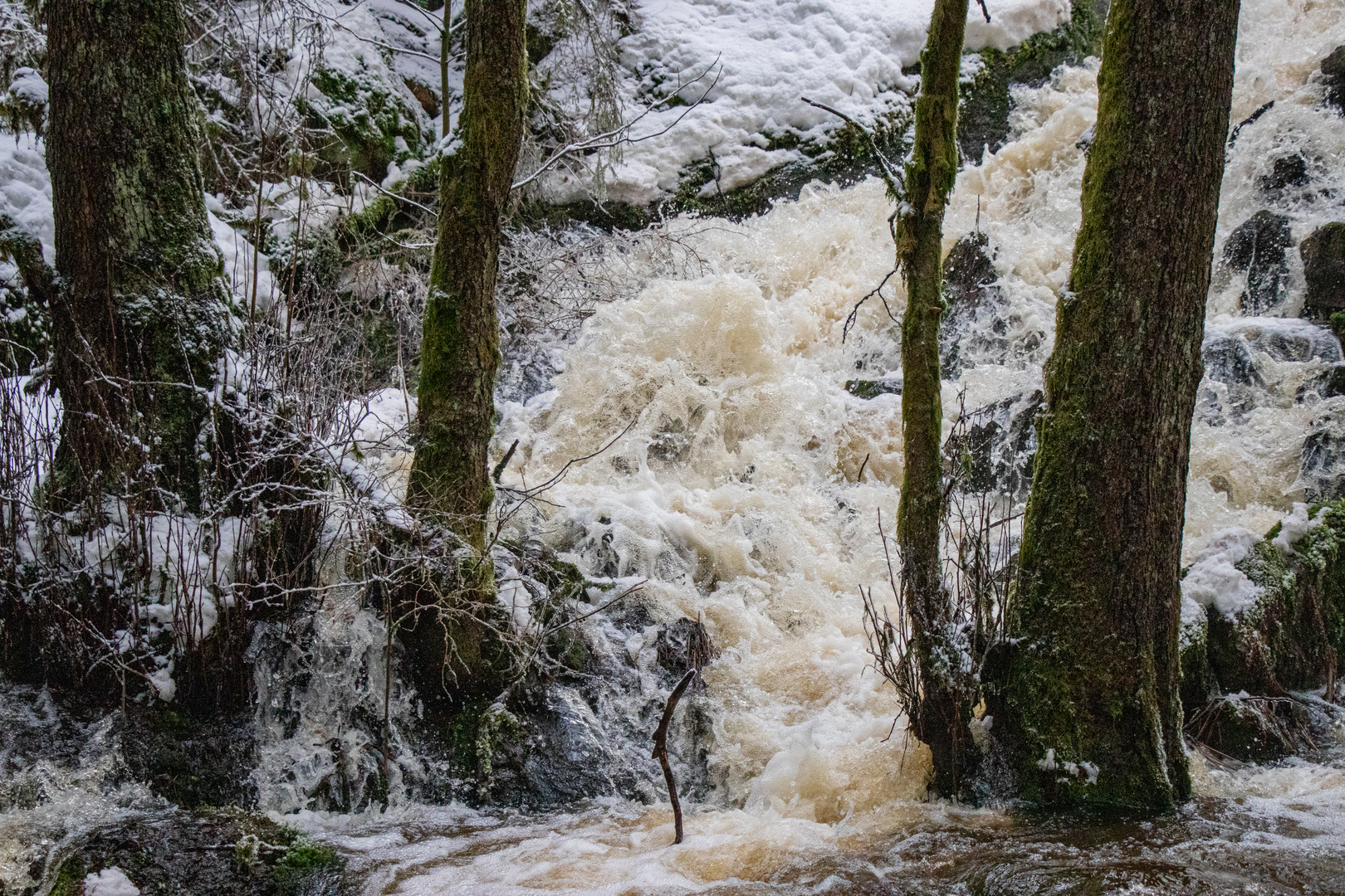 Die Eger im Thuswald